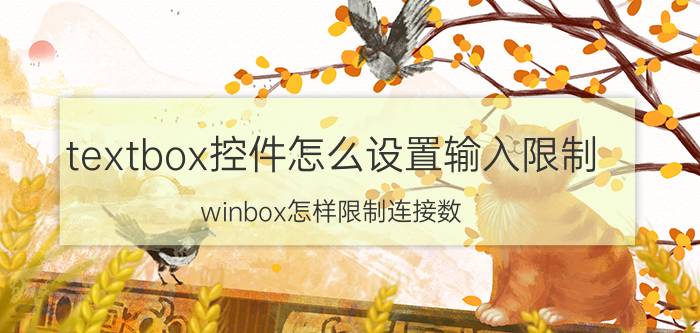 textbox控件怎么设置输入限制 winbox怎样限制连接数？